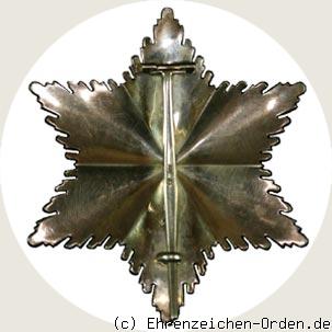 Verdienstorden vom Deutscher Adler  Bruststern zum Verdienstkreuz mit Schwertern R&uuml;ckseite